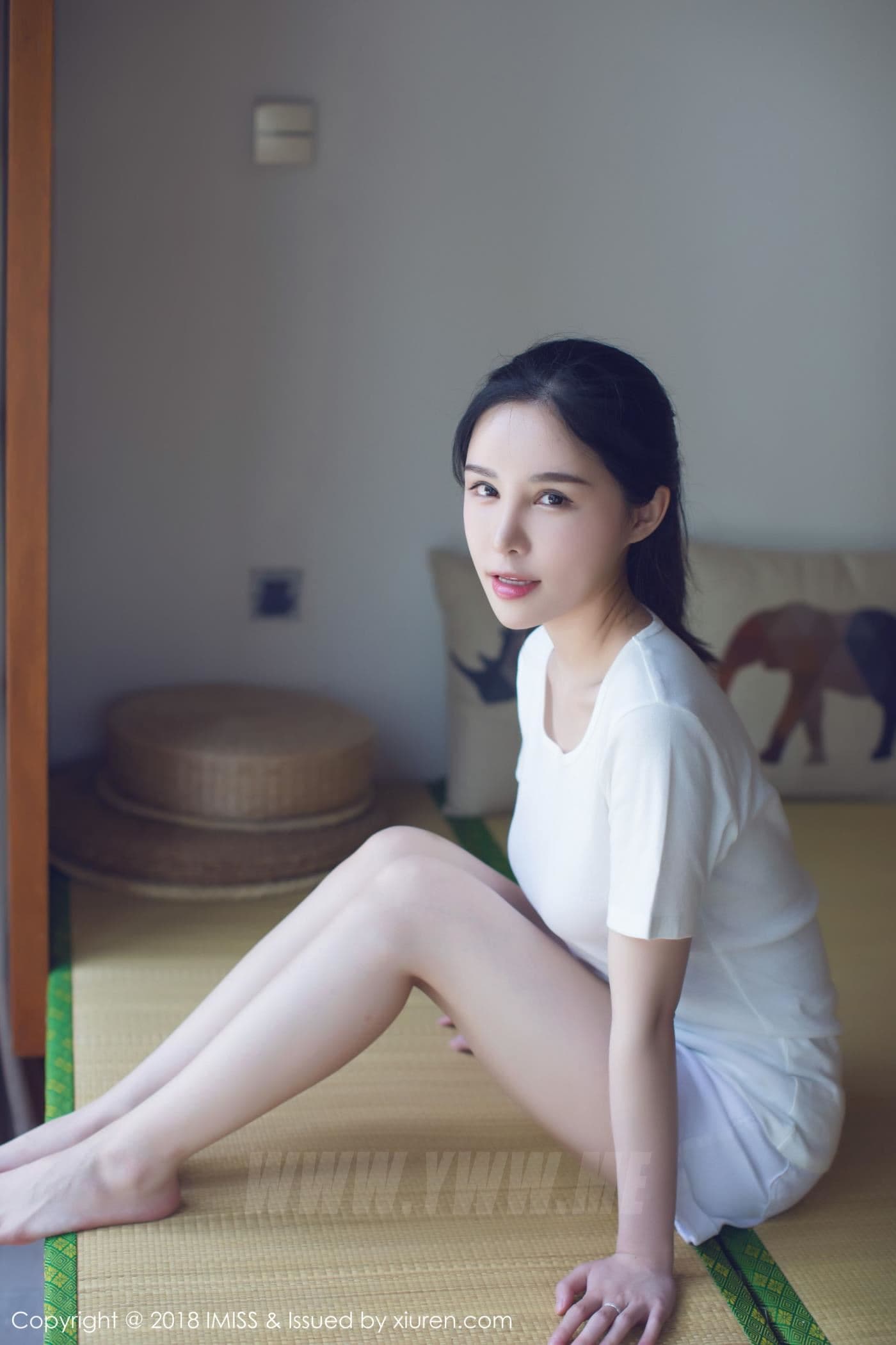 IMISS爱蜜社 VOL.229 艾米Amy