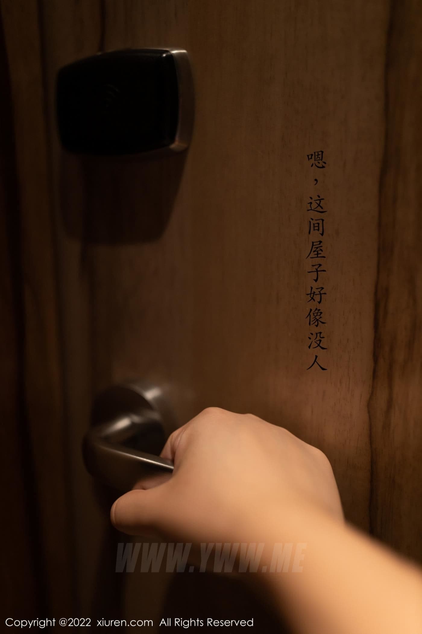 XiuRen秀人网 No.4652 利世 丝袜美腿