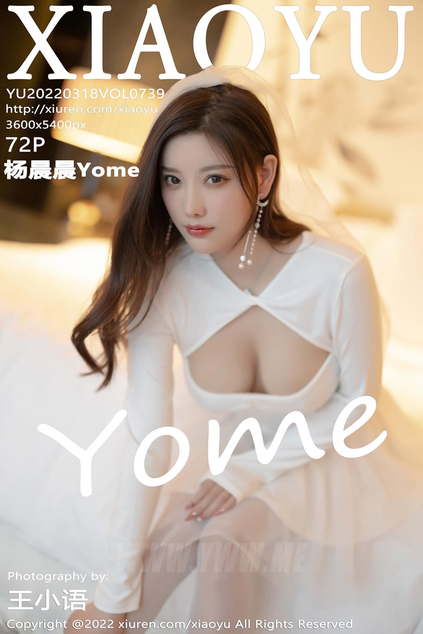 XIAOYU语画界 VOL.739 杨晨晨Yome 丝袜美腿