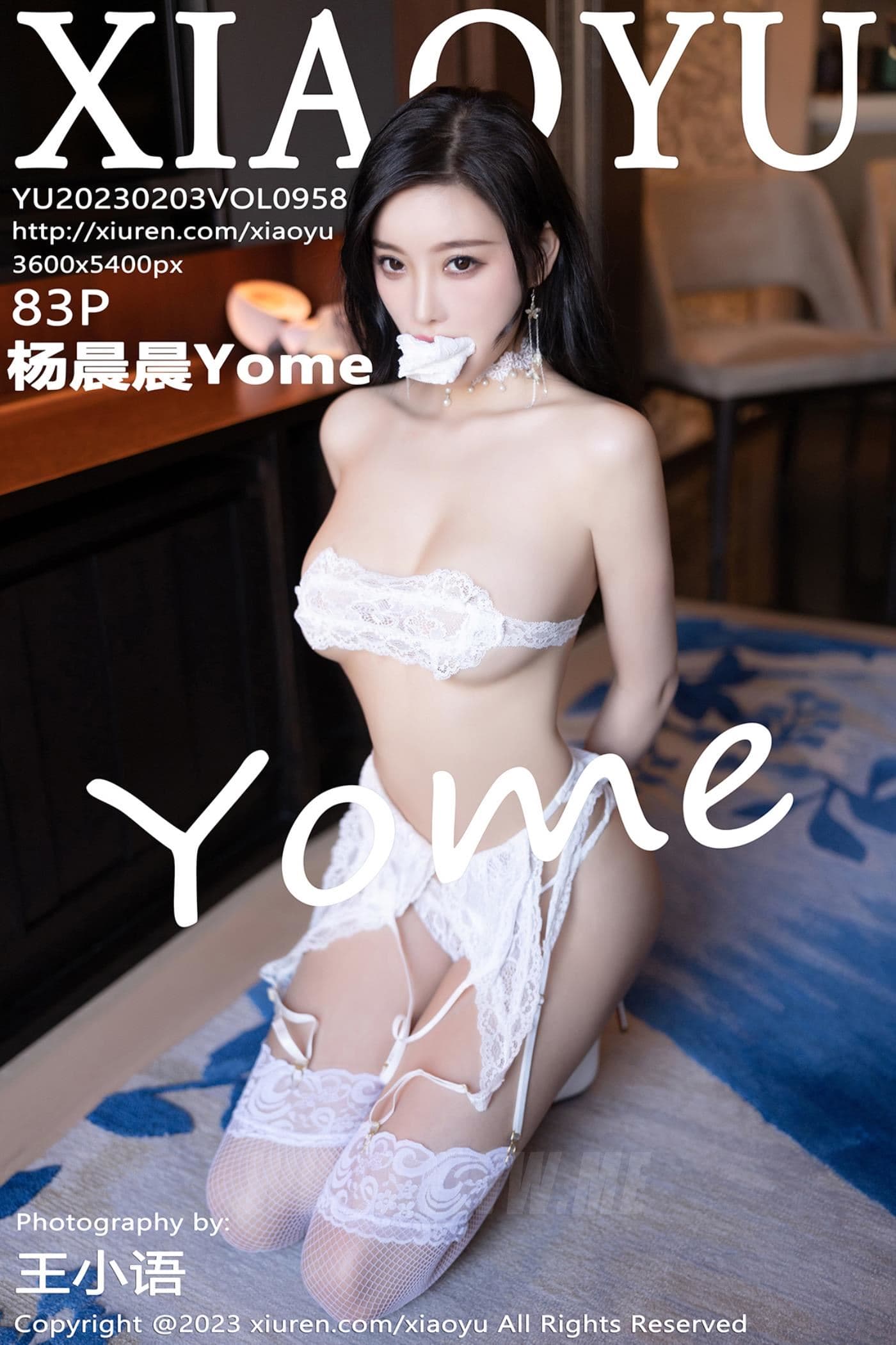 XIAOYU语画界 VOL.958 杨晨晨Yome 丝袜美臀