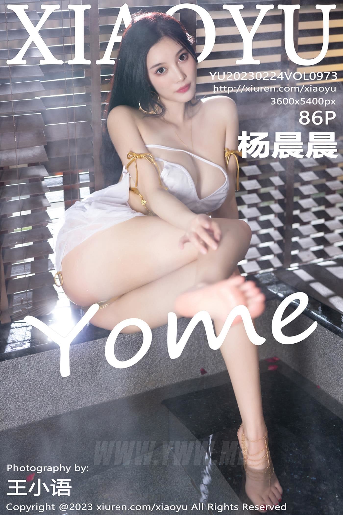 XIAOYU语画界 VOL.973 杨晨晨Yome 丰腴美臀