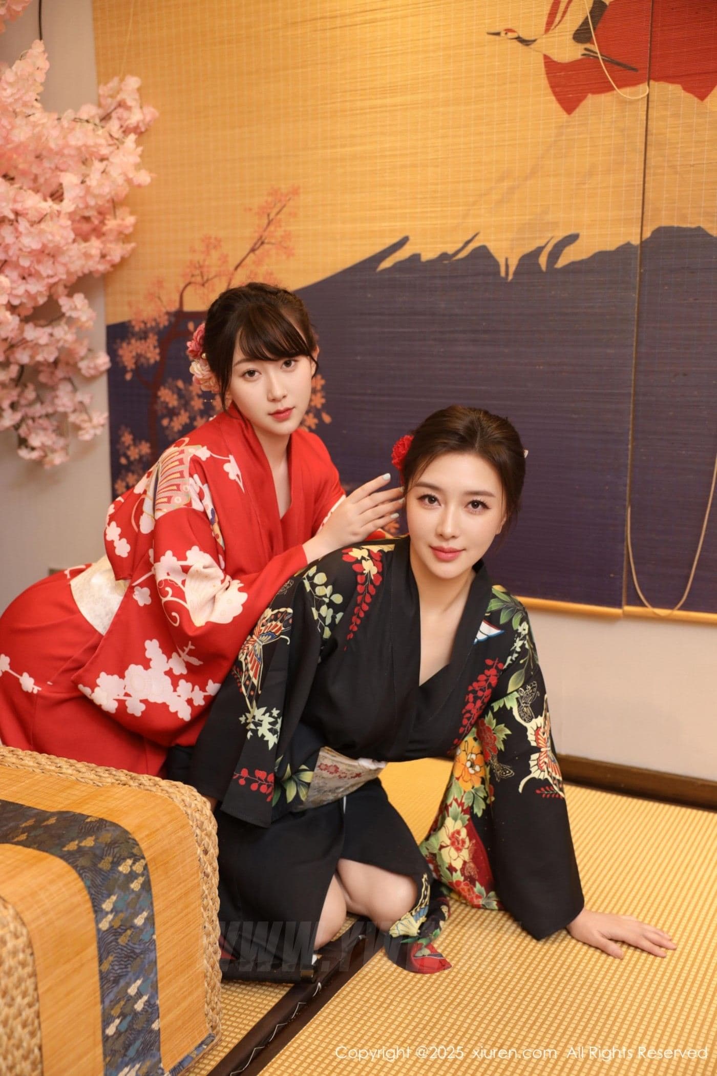 XiuRen秀人网 No.10627 苏一诺 婀娜灵动